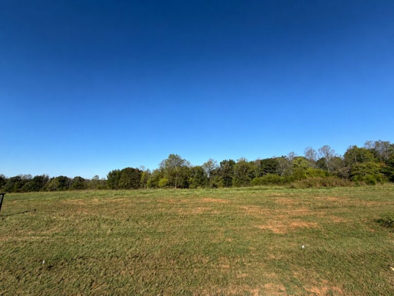 ColdWater Farms Lot 3: open five-acre homesite